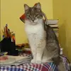 Отзыв от Майя Долгова